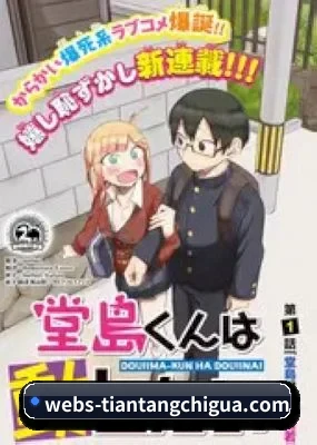 全域布局